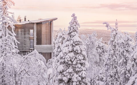 Masto 4: Bois, Siding, Chalet, Maison, Domicile, Planche, Batiments Jardin, Cabane En Rondins, Dur, Porche