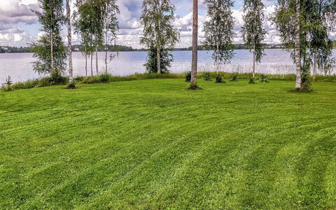 Inninniemi: Bois, Chalet, Cabane En Rondins, Forêt, Cabanon, Batiments Jardin, Mélèze, Des Bois, Tache De Bois