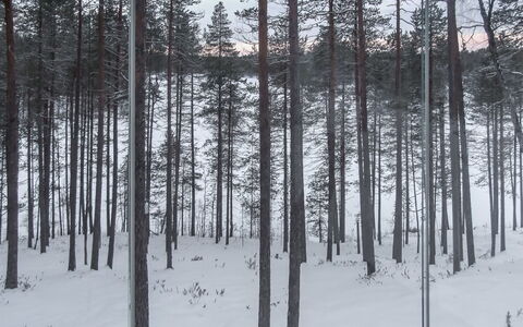 Seppola: Bois, Siding, Chalet, Maison, Domicile, Planche, Batiments Jardin, Cabane En Rondins, Dur, Porche