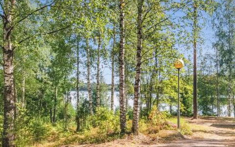 Pastin Mökki: Feuille, Arbre, Vert, La Nature, Branche, Tronc, Des Bois, Bosquet, Forêt, Printemps