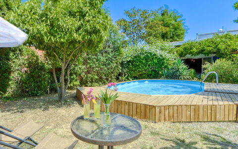 Ave de Paso: Plante, Propriété, Communauté Des Plantes, Meubles, Table, Ciel, Botanique, La Nature, Bleu Azur, Mobilier De Jardin