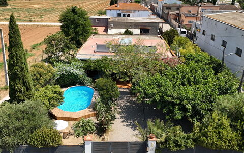 Ave de Paso: Plante, Propriété, Bâtiment, Fenêtre, Arbre, Végétation, Design Urbain, Biome, Quartier, Paysage