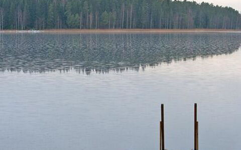 Kopinkallio 1: Arbre, Banque, Maison, Chalet, Lac, Étang, Forêt, Cabane En Rondins