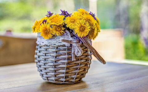Plitvice Ii: Jaune, Fleur, Fleurs De Coupe, Vase, Pot De Fleur, Plante, Wildflower, Art Floral, Bouquet