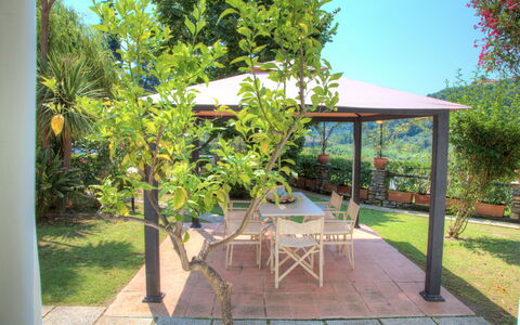 Casa Del Sole - San Bartolomeo Al Mare: Propriété, Immobilier, Arbre, Arrière-Cour, Maison, Cour, Patio, Bâtiment, Jardin, Plante