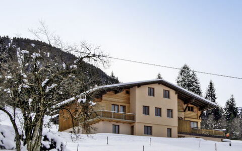 Tschagguns 210: Ciel, Bâtiment, Neige, Fenêtre, Arbre, Plante, Pente, Maison, Montagne, Gelé
