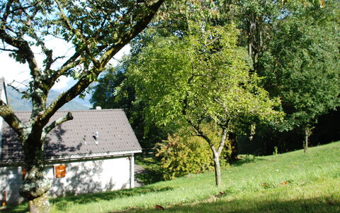 La Cassìna: Arbre, Maison, Propriété, Chalet, Domicile, Suppression Des Plantes Ligneuses, Ferme, Zone Rurale, Lot Terre, Herbe