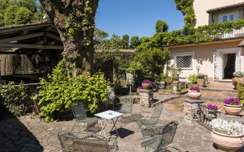 Rocca di Papa 102: Arbuste, Meubles, Pot De Fleur, Jardin, Mobilier De Jardin, Printemps, Chaise, Tableau De Plein Air, Ombre