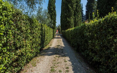 Villa Fucini
