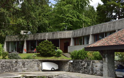 Duck House