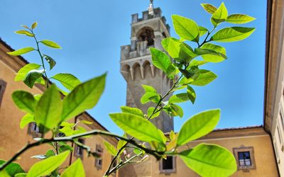 Montegufoni