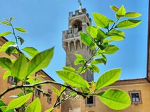 Montegufoni