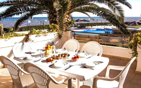 Laguna Beach Plus: Table, Plante, Meubles, Propriété, Ciel, Chaise, Vaisselle, Arbre, Mobilier De Jardin, Arecales
