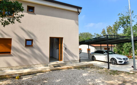 Romina: Arbuste, Zone Résidentielle, Domicile, Biens, Jardin, Pelouse, Aménagement Paysager, Cour, Manoir, Villa