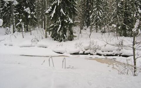 Puikkokoski: Bois, Chalet, Cabane En Rondins, Forêt, Cabanon, Batiments Jardin, Mélèze, Des Bois, Tache De Bois