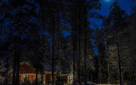 Puikkokoski: Bois, Chalet, Cabane En Rondins, Forêt, Cabanon, Batiments Jardin, Mélèze, Des Bois, Tache De Bois
