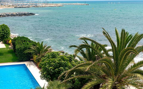 Acuario: Végétation, Palmier, Bleu Azur, Propriété, Arbre, Mer, Turquoise, Tropiques, Arecales, Océan