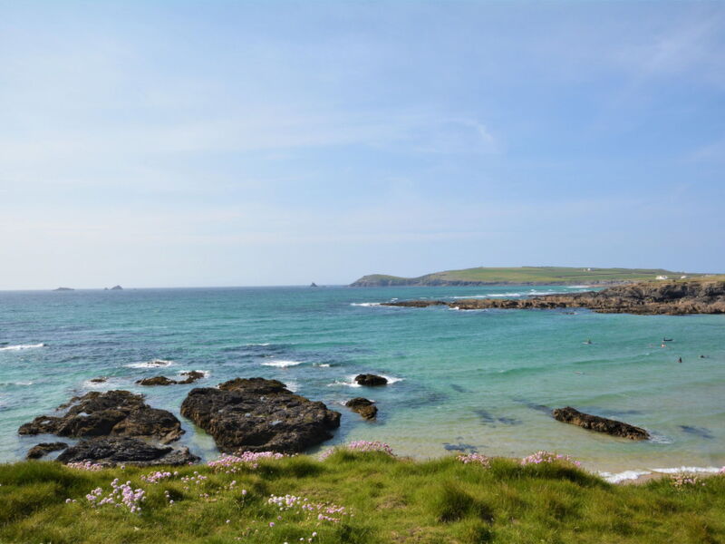 Samphire