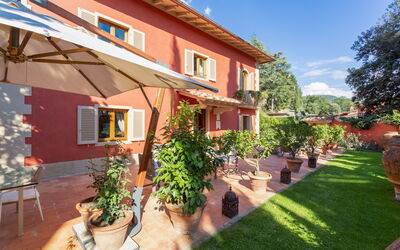 Cipressi Alle Vigne