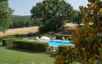 La Piccola Selva: Propriété, Piscine, Recours, Arbre, Maison, Immobilier, Villa, Bâtiment, Vacances, Loisir