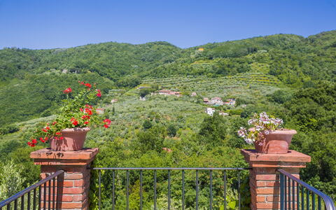 Villa Roncovisi: Végétation, Propriété, Arbre, Réserve Naturelle, Feuille, Botanique, Jardin, Colline, Immobilier, Maison