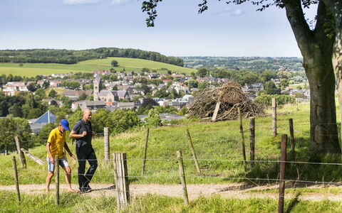 Bungalowpark Landsrade: Plante, Ciel, Communauté Des Plantes, Arbre, Nuage, Paysage Naturel, Herbe, Prairie, Loisir