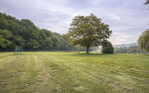 Bungalowpark Landsrade: Herbe, Arbre, Environnement Naturel, Prairie, Plaine, Lot Terre, Prairie, Champ, Pelouse