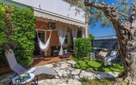 Tea: Plante, Propriété, Bâtiment, Ciel, Bleu Azur, Fenêtre, Architecture, Arbre, Chalet, Maison