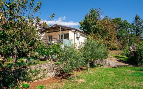 Silvana: Arbuste, Zone Rurale, Domicile, Chalet, Jardin, Printemps, Arrière-Cour, Ombre, Cour, Biens