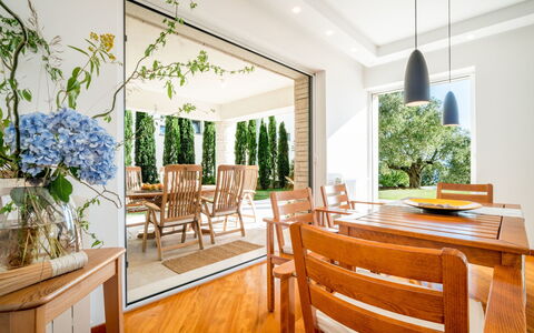 Kamik: Pièce, Design Intérieur, Propriété, Salle À Manger, Vert, Meubles, Bâtiment, Maison, Domicile, Plafond