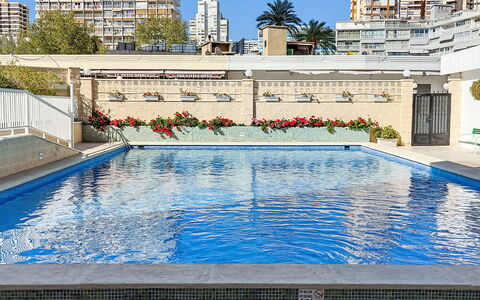 Benidorm 954: L'Eau, Piscine, Lumière, Bleu, Bleu Azur, Ciel, Bâtiment, Plante, Rectangle