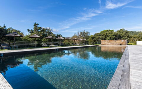 Porto Vecchio 150: L'Eau, Ciel, Ressources En Eau, Nuage, Bleu, Plante, Bleu Azur, Arbre, Piscine, Paysage Naturel