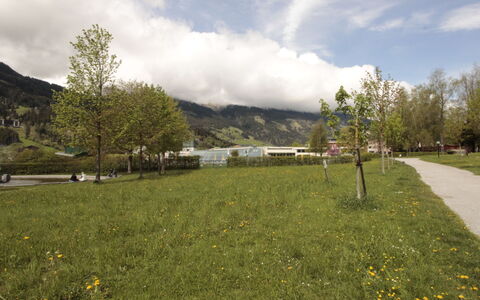 Benny: Herbe, Vert, Montagnes Relief, Colline, Prairie, Paysage, Lot Terre, Plaine, Chaîne De Montagnes, Couverture De Sol