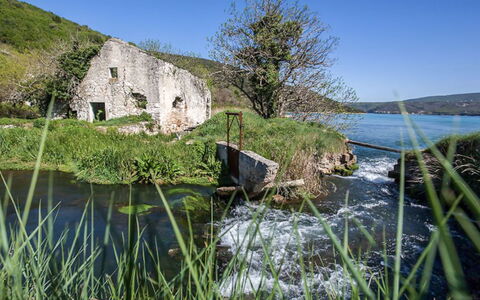 Klen 1: Plan D'Eau, L'Eau, Paysage Naturel, La Nature, Végétation, Herbe, Banque, Ressources En Eau, Côte, Mer