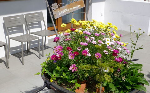 Chalet la Muntaniala: Fleur, Pot De Fleur, Plante, Plante D'Appartement, Floristique, Plante À Fleurs, Plante Annuelle, Jardin, Arbuste, Art Floral