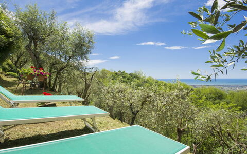 Casaccia: Propriété, Piscine, Végétation, Paysage Naturel, Ciel, Recours, Vacances, Maison, Immobilier, Arbre