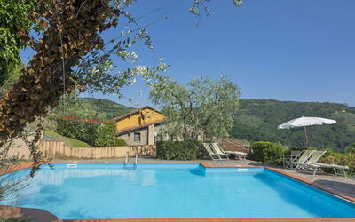 location de vacances Pescia 825 - Pescia, Toscane, Italie - Viola 825.1