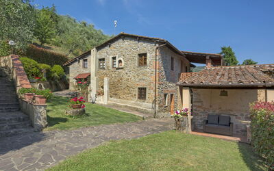 Pescia 825