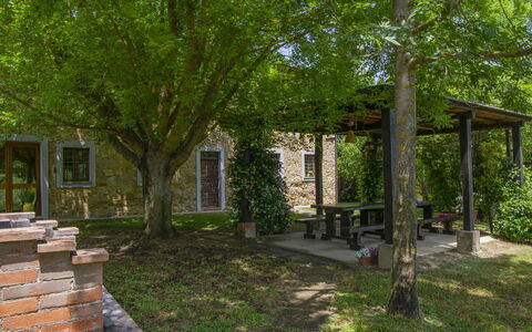 Casa dei Ciliegi: Plante, Fenêtre, Feuille, Arbre, Lot Terre, Ombre, Herbe, Suppression Des Plantes Ligneuses, Porte, Paysage Naturel
