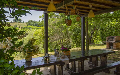 Casa dei Ciliegi: Plante, Bâtiment, Ombre, Table, Botanique, Porche, Mobilier De Jardin, Design Intérieur, Arbre, Bois