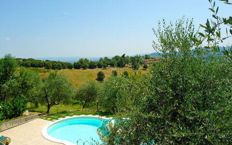Gambassi Terme 840: Paysage Naturel, Piscine, Végétation, Propriété, Réserve Naturelle, Immobilier, Arbre, Herbe, Botanique, Maison