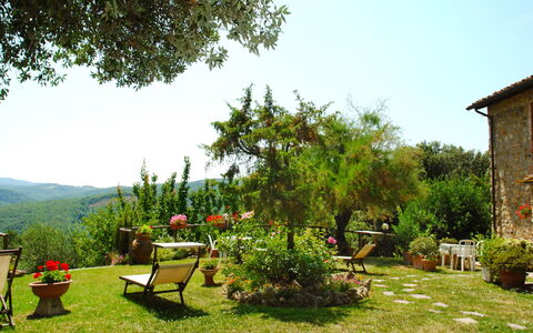 Gambassi Terme 840: Jardin, Végétation, Paysage Naturel, Herbe, Cour, Propriété, Arbre, Lot Terre, Botanique, Arrière-Cour