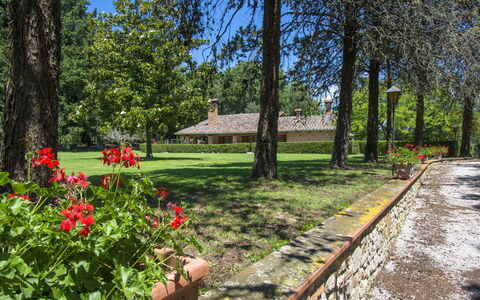 Camporbiano: Végétation, Propriété, Arbre, Environnement Naturel, Réserve Naturelle, Jardin, Printemps, Plante, Fleur, Botanique