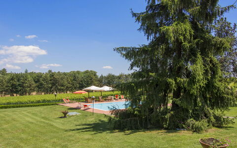 Camporbiano: Plante, Ciel, Nuage, Paysage Naturel, Arbre, Lot Terre, Ombre, Mobilier De Jardin, Herbe, Loisir