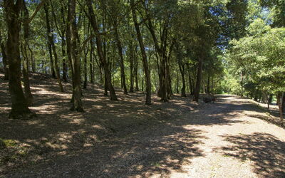 Camporbiano