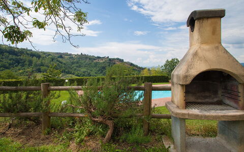 Podere Valle di Sotto: Paysage Naturel, Herbe, Ciel, Zone Rurale, Arbre, Paysage, Lot Terre, Maison, Champ, Plante