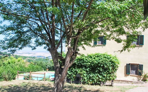 Podere Valle di Sotto: Arbre, Feuille, Branche, Printemps, Ombre