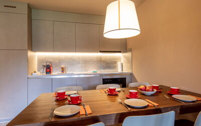 Logement:&nbsp;Swisspeak Resorts Zinal 9000.101