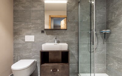 Logement:&nbsp;Swisspeak Resorts Zinal 9000.98