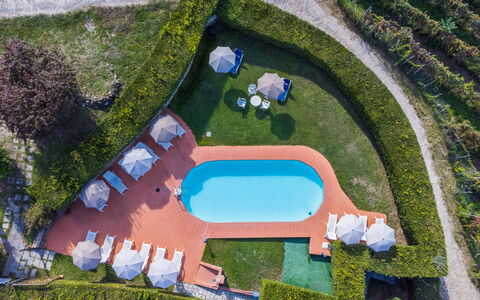 Greve in Chianti 600: Ressources En Eau, Plante, L'Eau, Bleu Azur, Monde, Design Urbain, Lot Terre, Herbe, Biome, Loisir